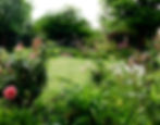 Summer garden