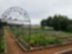 Veggie patch