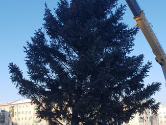 "Елка 2", или Новый год в Сказочном городке