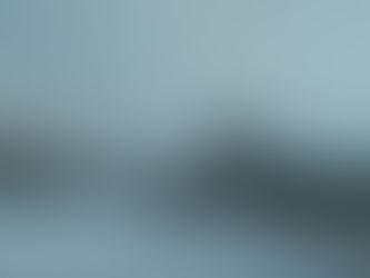 На гусеницах или нет