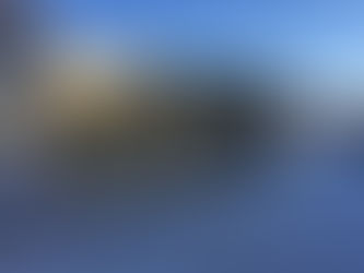 Новогодние приготовления