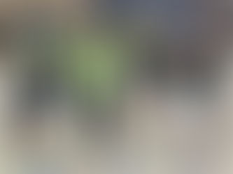 verlustpunktfreie erste Saisonhälfte