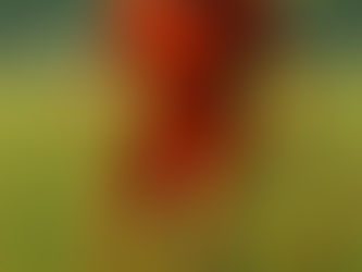 How to Keep Kids Motivated in Soccer: Support, Joy, and Confidence