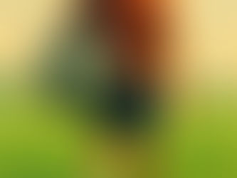 🎩 Respect to the small-town soccer clubs that show up for kids every single day.