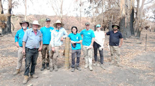 Volunteering: Building Communities