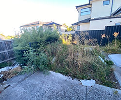 Tech 1_Yarrinup_5.JPG