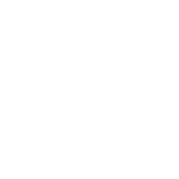 Yea timeline graphic2.png