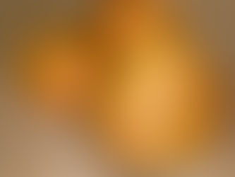 無敵漢堡包-個包