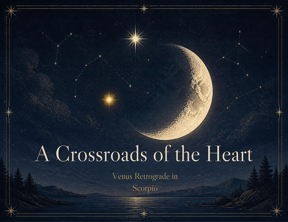 Venus turned retrograde in Scorpio on 3 October, she returns to Libra on 25 October and turns direct on 14 November and re-enters Scorpio on 4 December where she remains until 7 January.