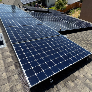 Clean Solar Panels with bird mesh barrier installed
