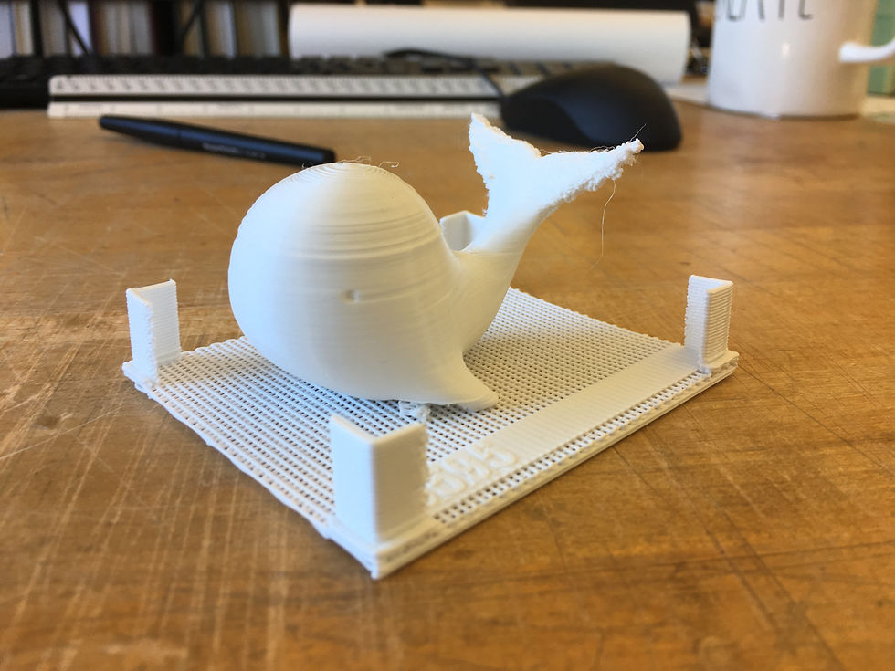 Raw 3D print_1
