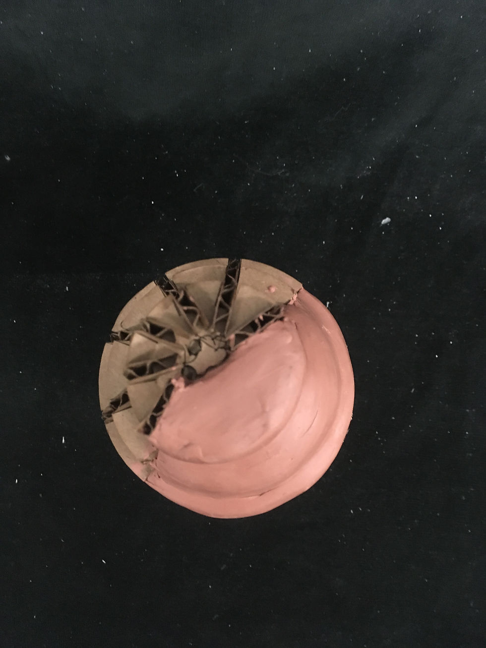 Top View