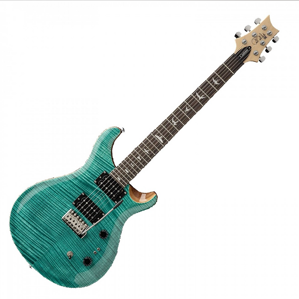 Miniatura: PRS SE Custom 24/08 EV