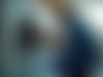 Reliable Appliance Services for Kiwi Homes