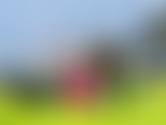 കാല്പനികത ഔഷധക്കൂട്ട്