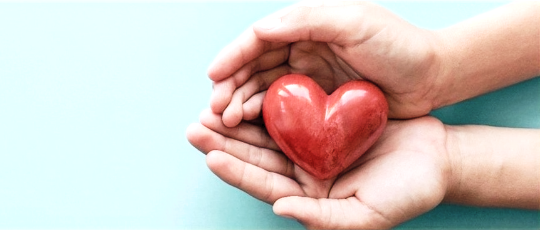Image : Holding a heart in hand.