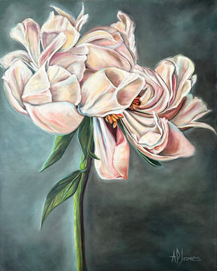 soft white peony on an atmospheric background