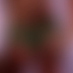 The Delight Project into Existence