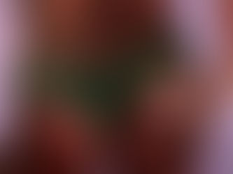 The Delight Project into Existence