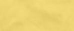 fondo contacto amarillo.jpg