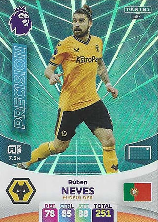 387 - Ruben Neves - Precision.jpg