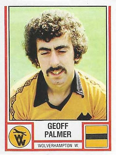 344 - Geoff Palmer (front).jpg