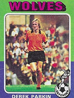 133 - Derek Parkin (Front).jpg