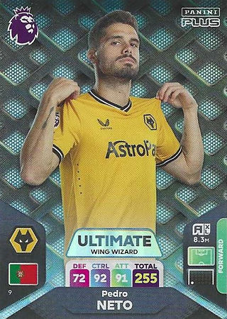 9 - Pedro Neto (Wing Wizard).jpg