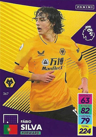 367 - Fabio Silva.jpg