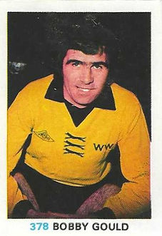 378 - Bobby Gould.jpg
