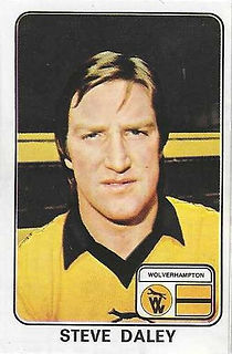 374 - Steve Daley.jpg