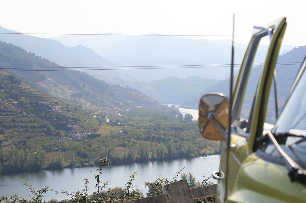 Douro in the Autumn