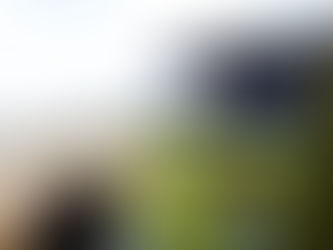 Looking for photo opportunities