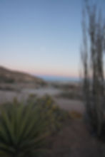 DSC04418.JPG