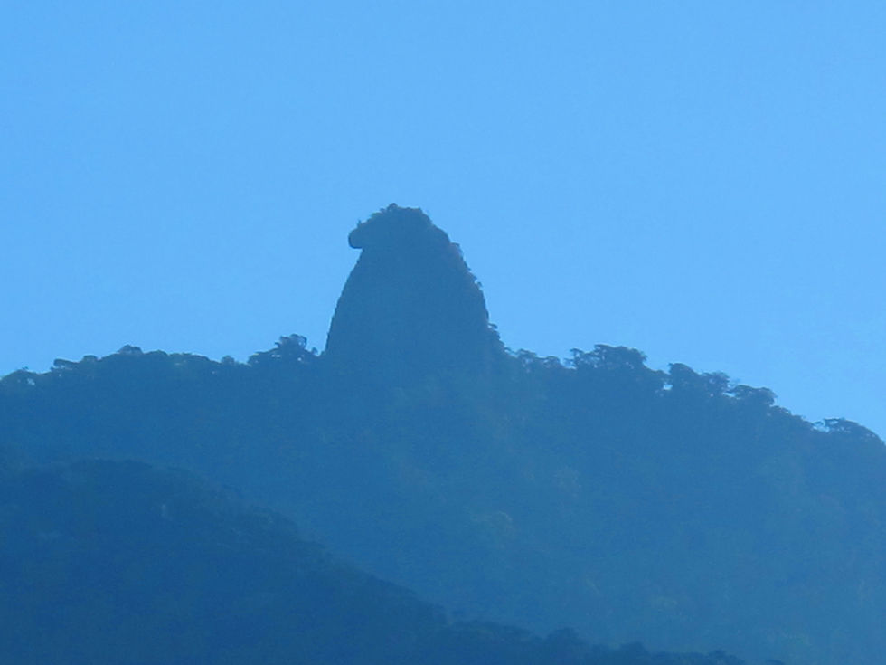 Trilhas em Ilha Grande