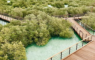 Mangrove National Park.jpg