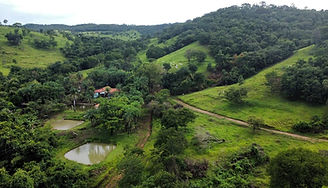 Chácara Exclusiva em Pontalina-GO - Paraíso Rural com Infraestrutura e Riqueza Hídrica