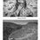 Thumbnail: Mud, Malaria, Guns & Miracles