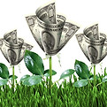 money-flowers.jpg