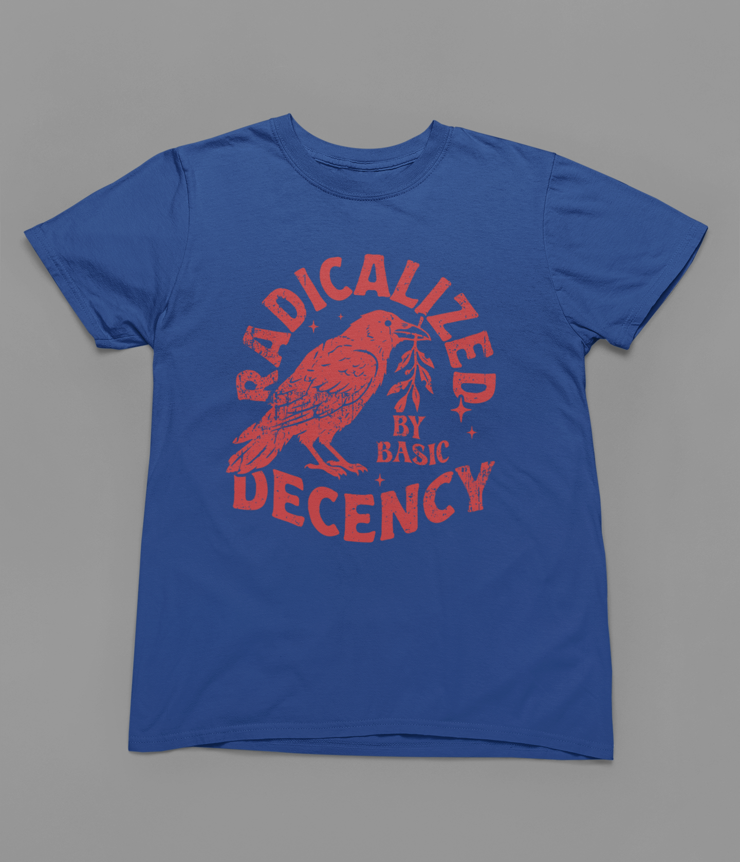 Radicalized By Human Decency Tshirt or Sweatshirt