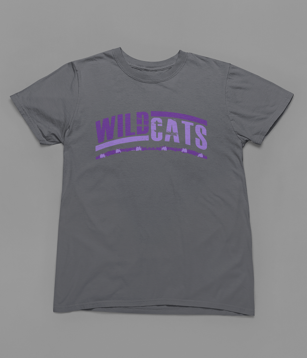 Thumbnail: Wildcats Retro Stripe Tshirt or Sweatshirt