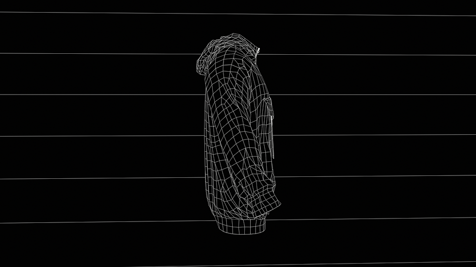 AnorakWireframe_Wireframe_00001
