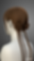 BraidBun_03