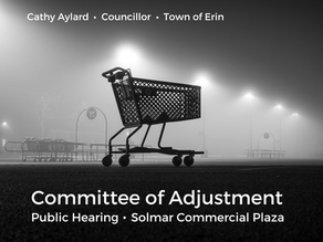 Councillor Update - August 11, 2025