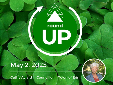 Councillor Update - May 2, 2025