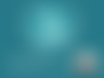 Councillor Update - March 31, 2025