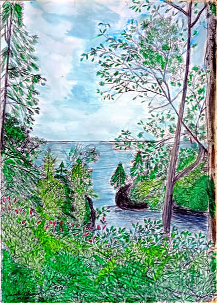 Parks & Nature Scenes