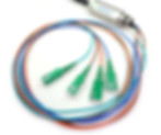 Main Node Cable.jpg