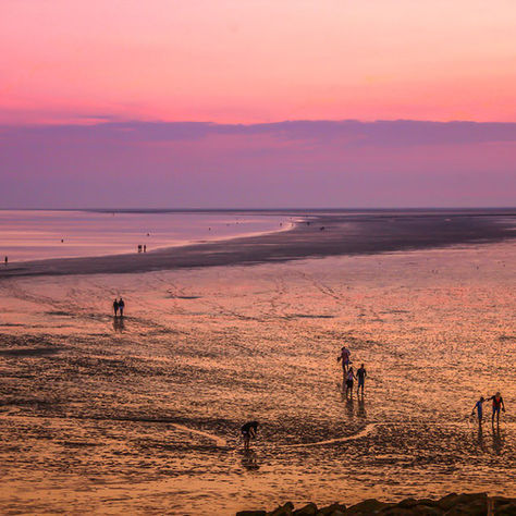 STRANDWANDERUNGEN