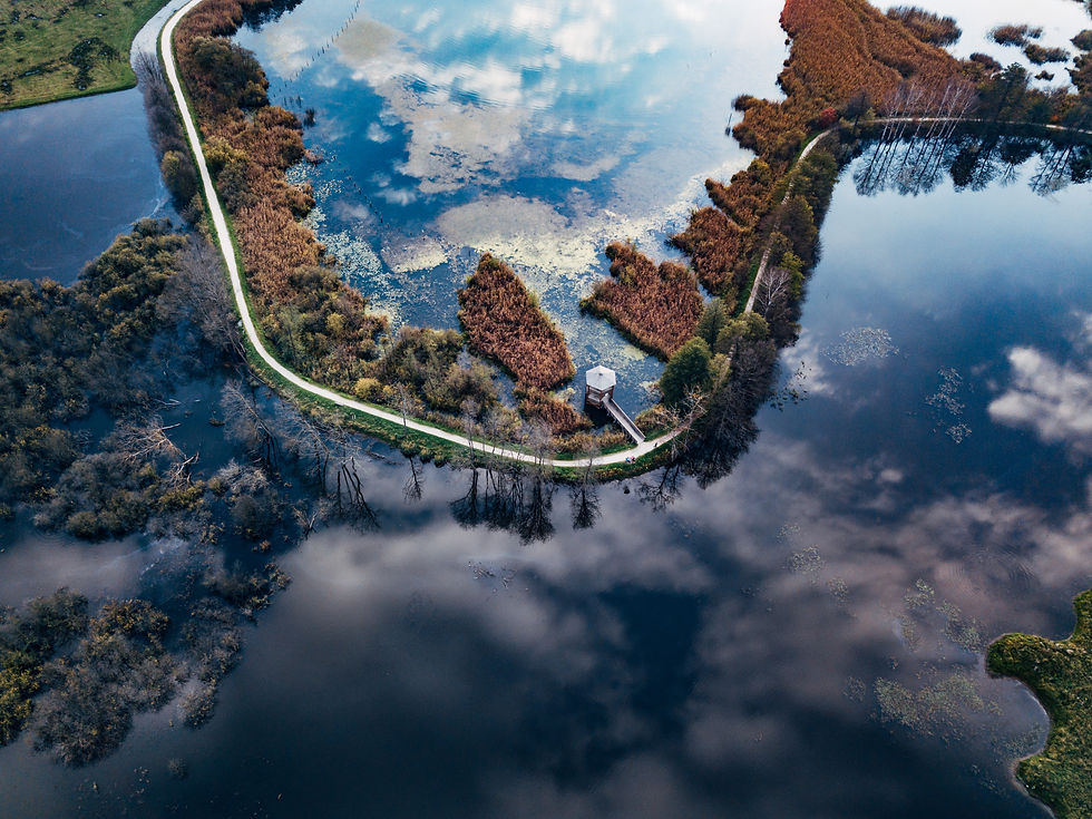 Luftaufnahme des Bleistätter Moor mit Holzsteg, kleinem Aussichtsturm und spiegelndem Wasser mit Wolkenreflexionen.